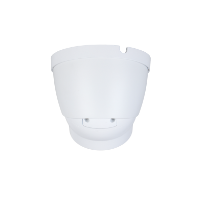 Thermal Network Mini Hybrid Eyeball Camera